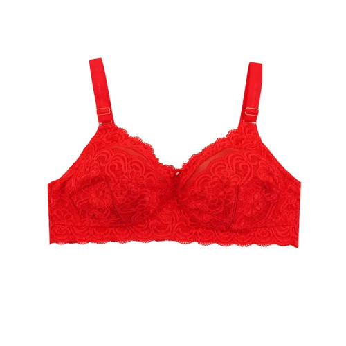 سوتین زنانه دانتل کاپ B بدون فنر طرح دار شیک