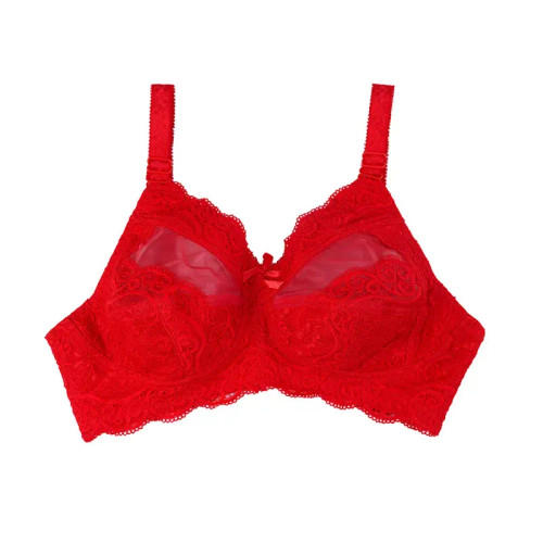 سوتین دانتل دالبری بالا تور برند شارمین