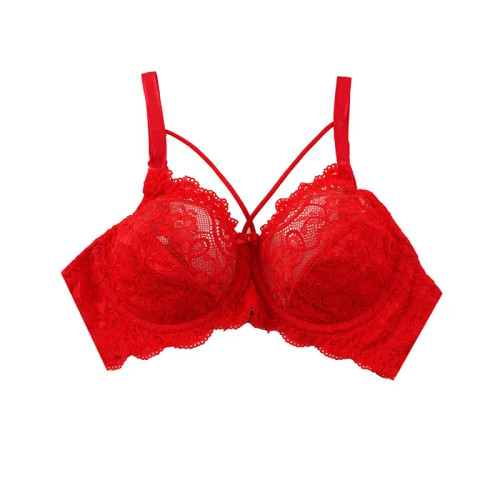 سوتین دانتل هارنس دار فنردار کاپ B برند شارمین